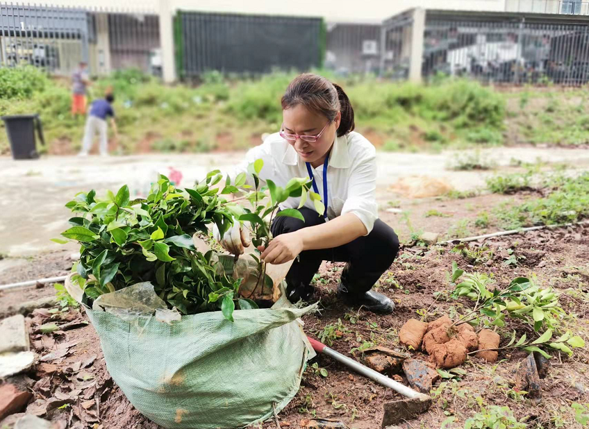 nxky0402.png nxky0402.png