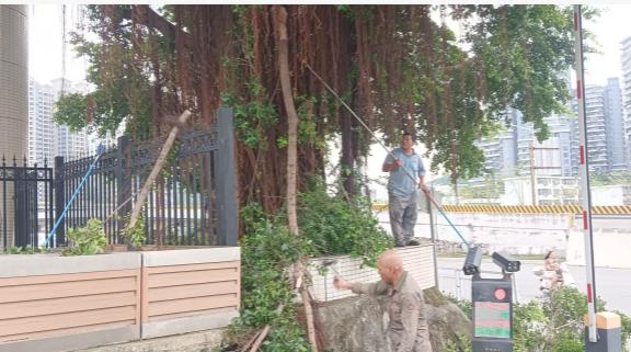 图片7.jpg 图片7.jpg