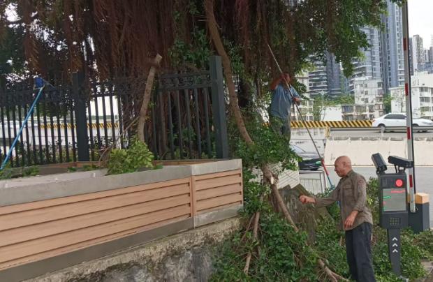 图片9.jpg 图片9.jpg