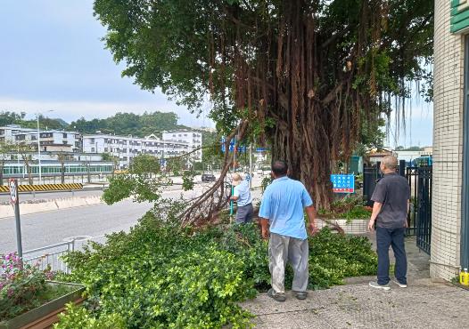 图片10.jpg 图片10.jpg